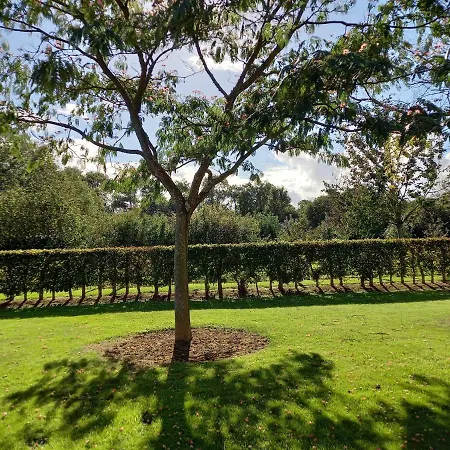 Les Bleuets 빌라 *